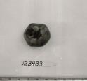 Click for 1 image(s) for this accession. FRUIT
